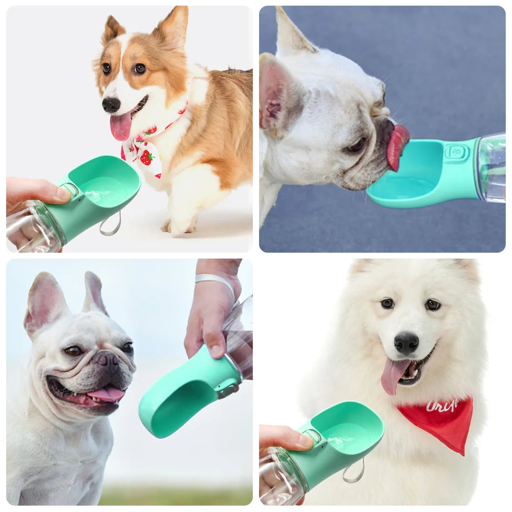 Pawfect Hydration Bottle